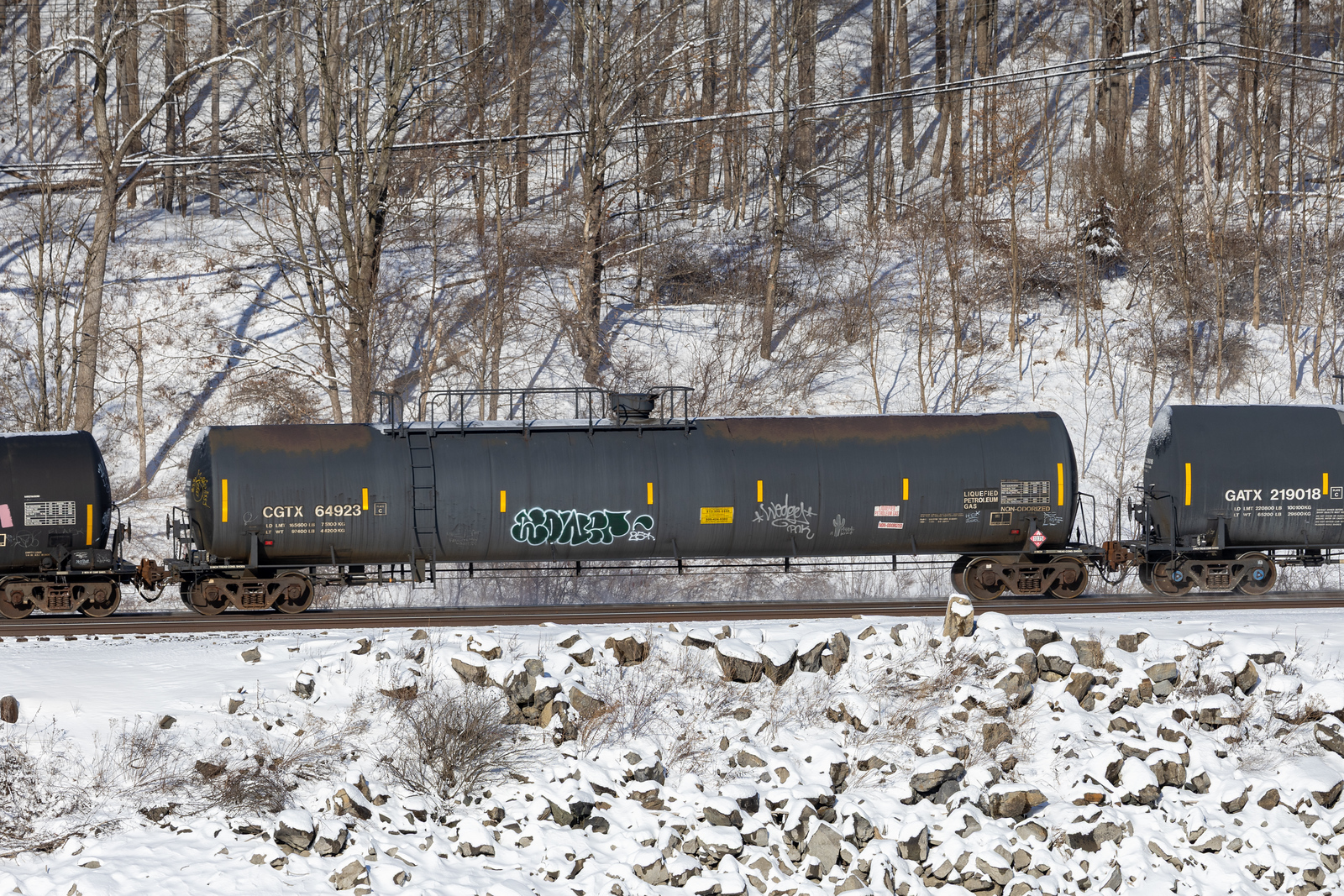 CGTX 64923