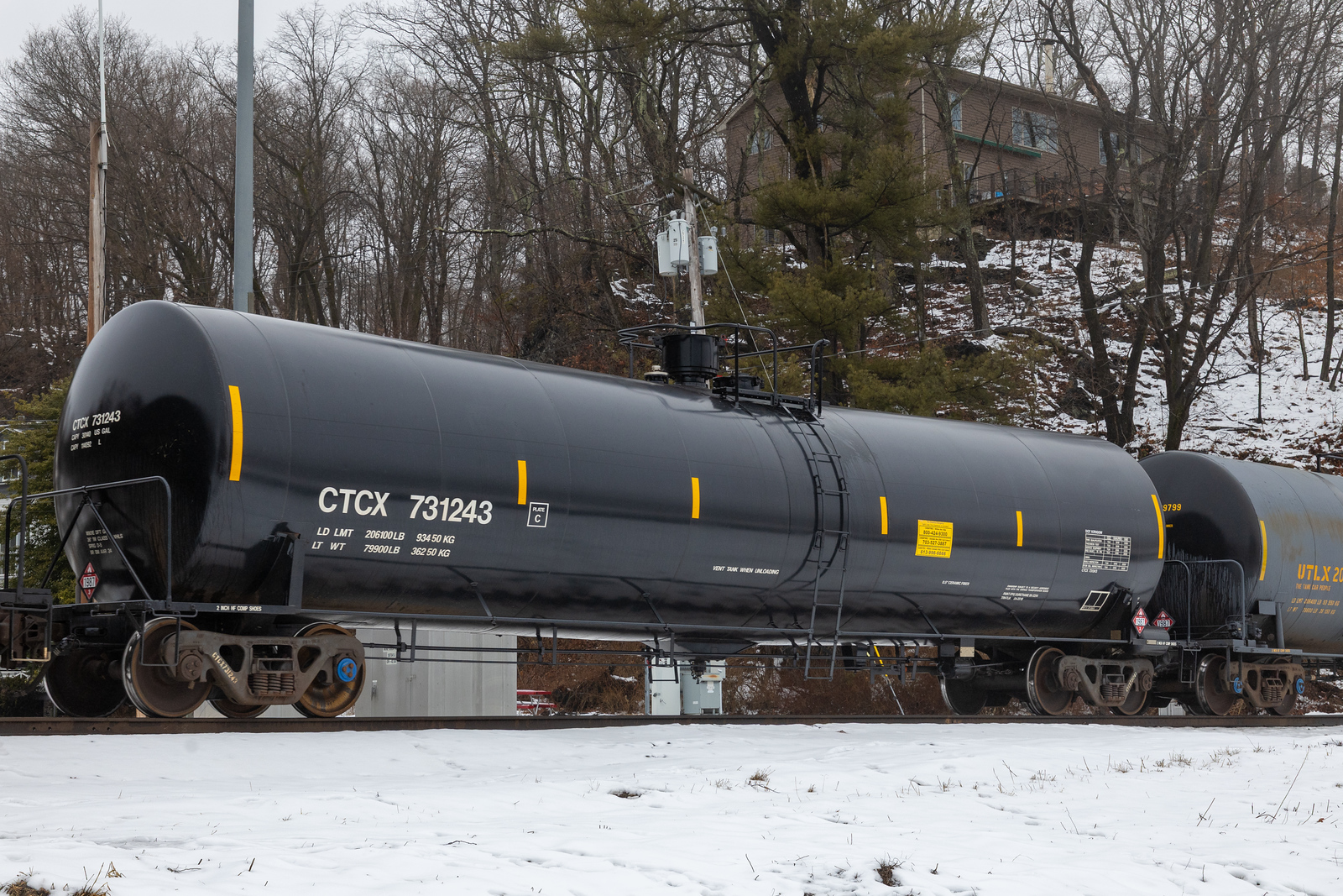 CTCX 731243