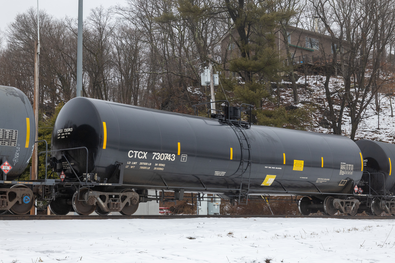 CTCX 730743