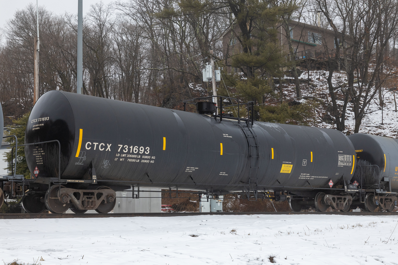 CTCX 731693
