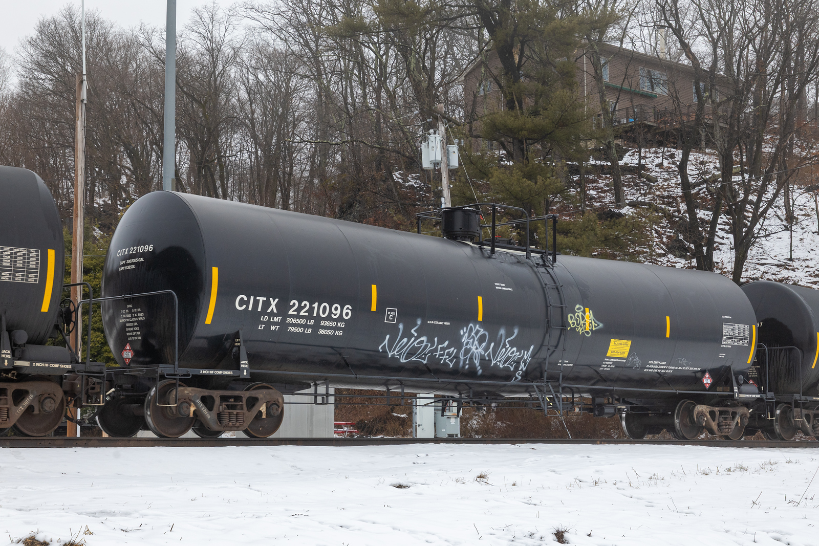 CITX 221096