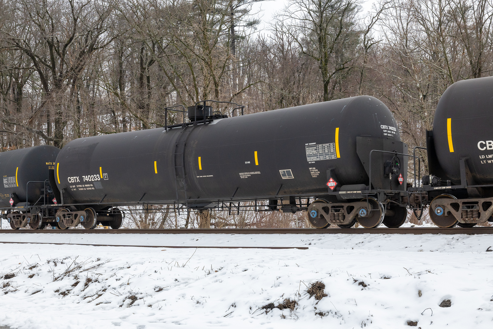 CBTX 740233