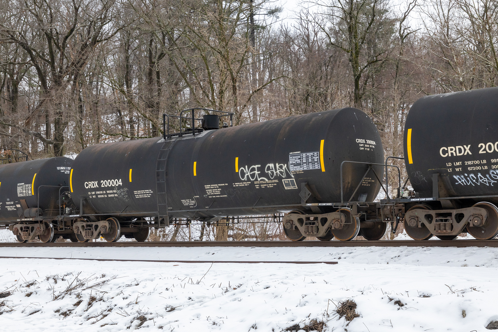 CRDX 200004