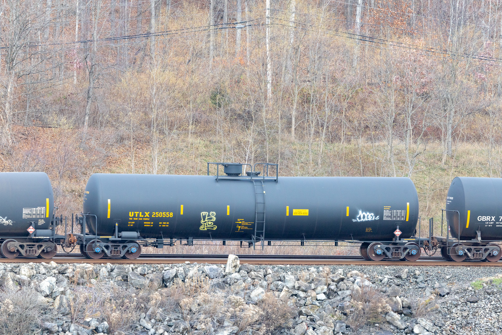 UTLX 250558