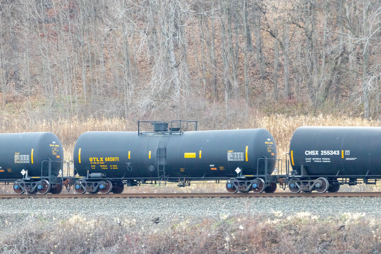 UTLX 685871