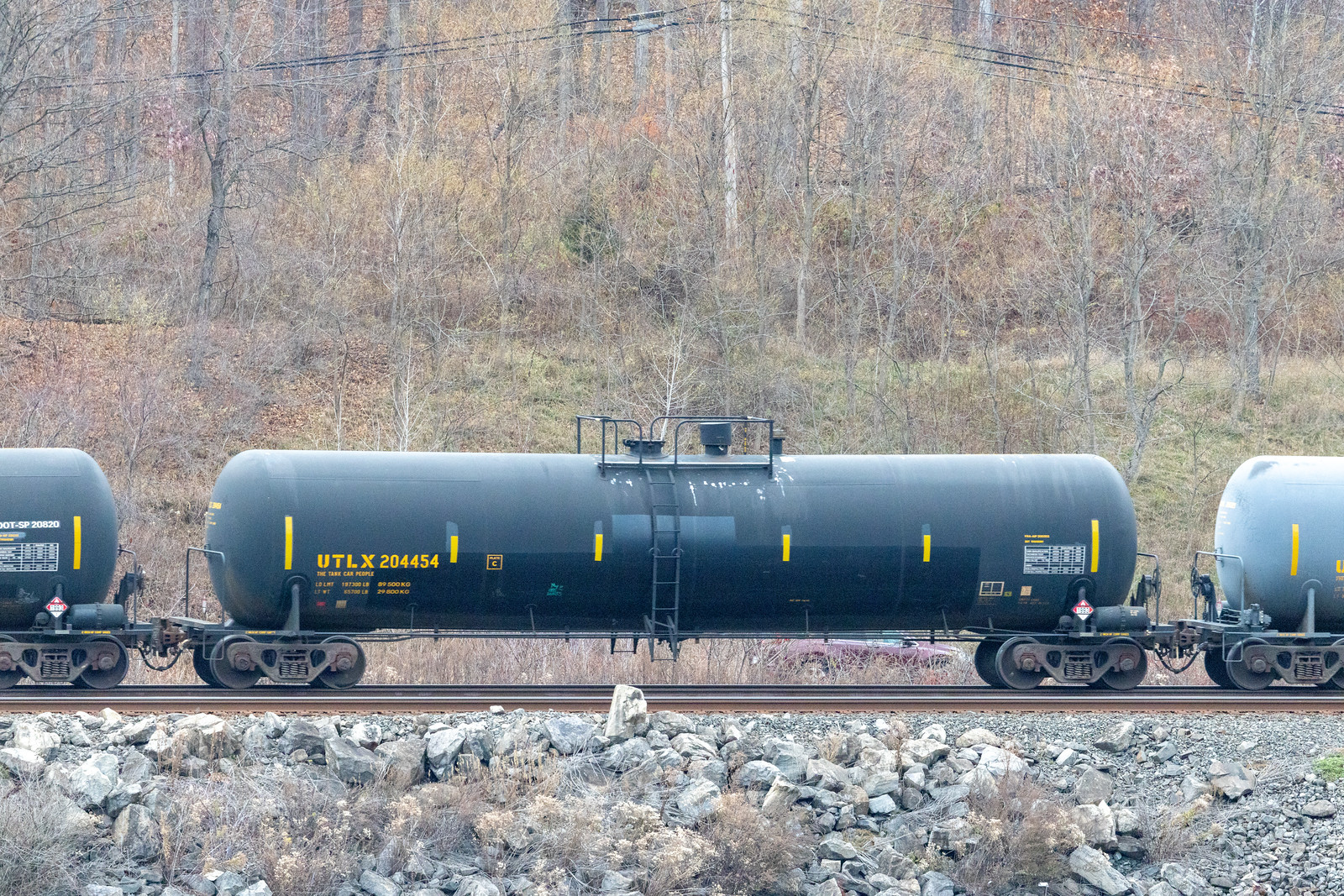 UTLX 204454