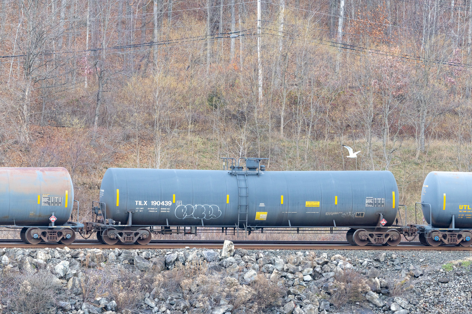 TILX 190439