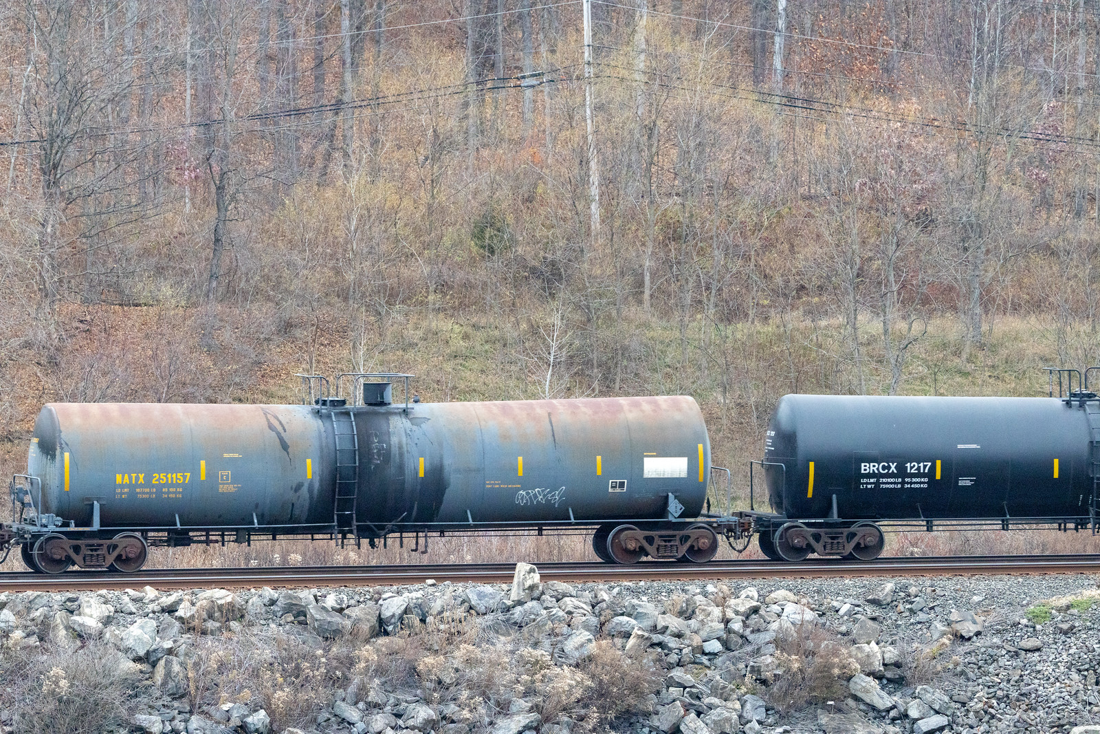 NATX 251157