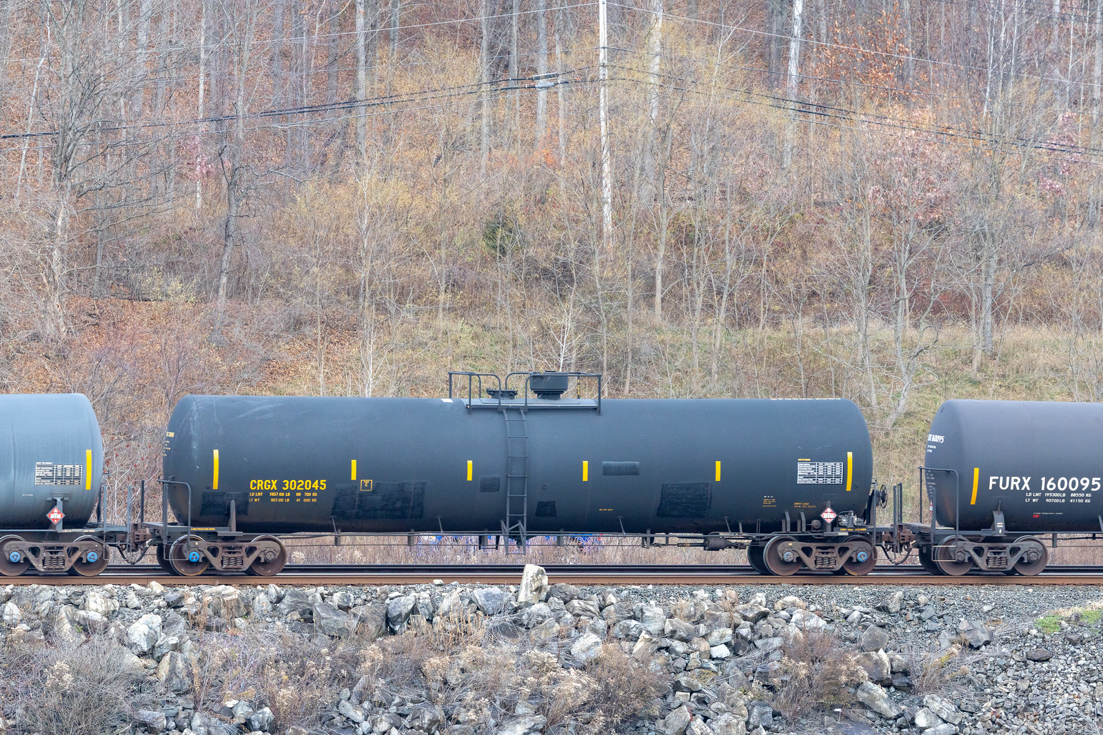 CRGX 302045