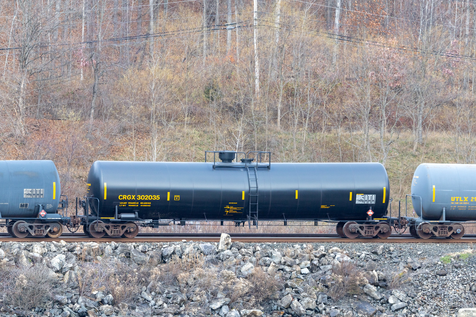 CRGX 302035