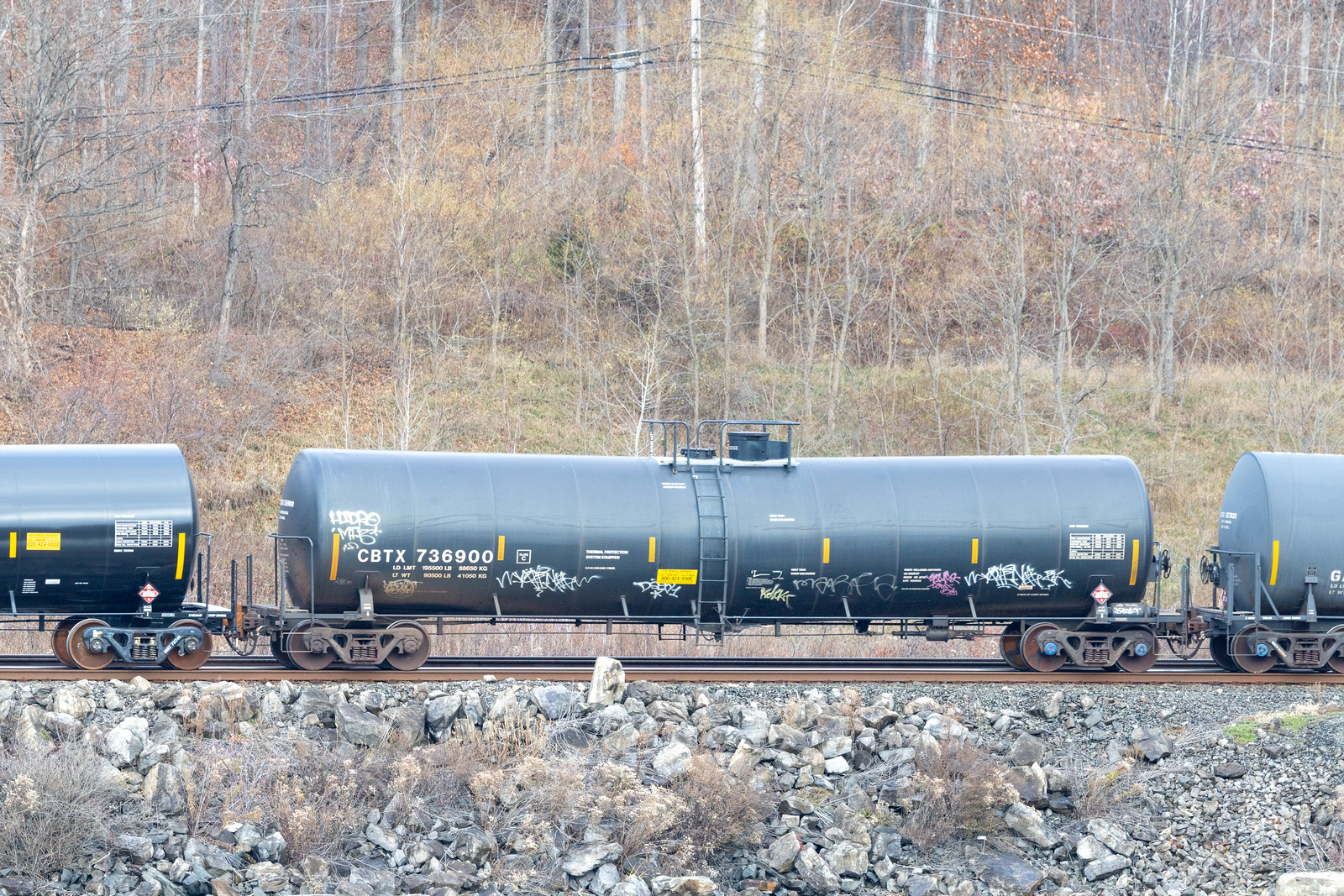 CBTX 736900