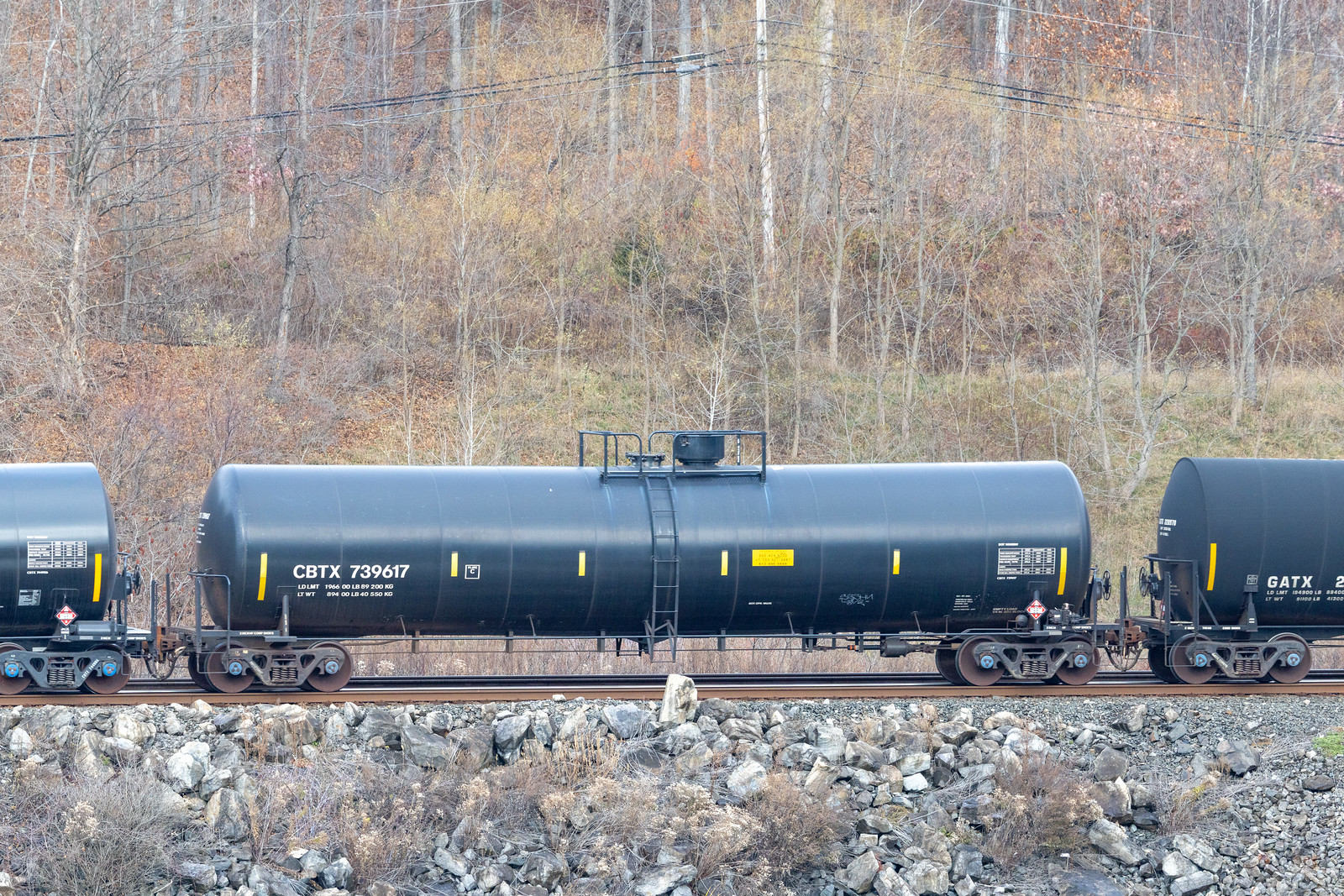 CBTX 739617