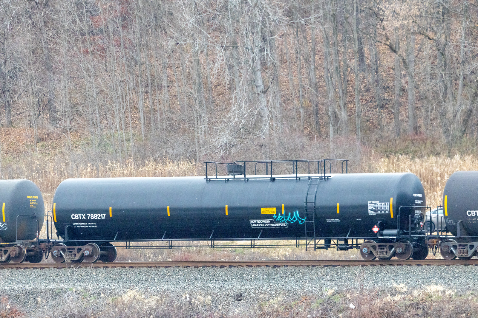 CBTX 788217