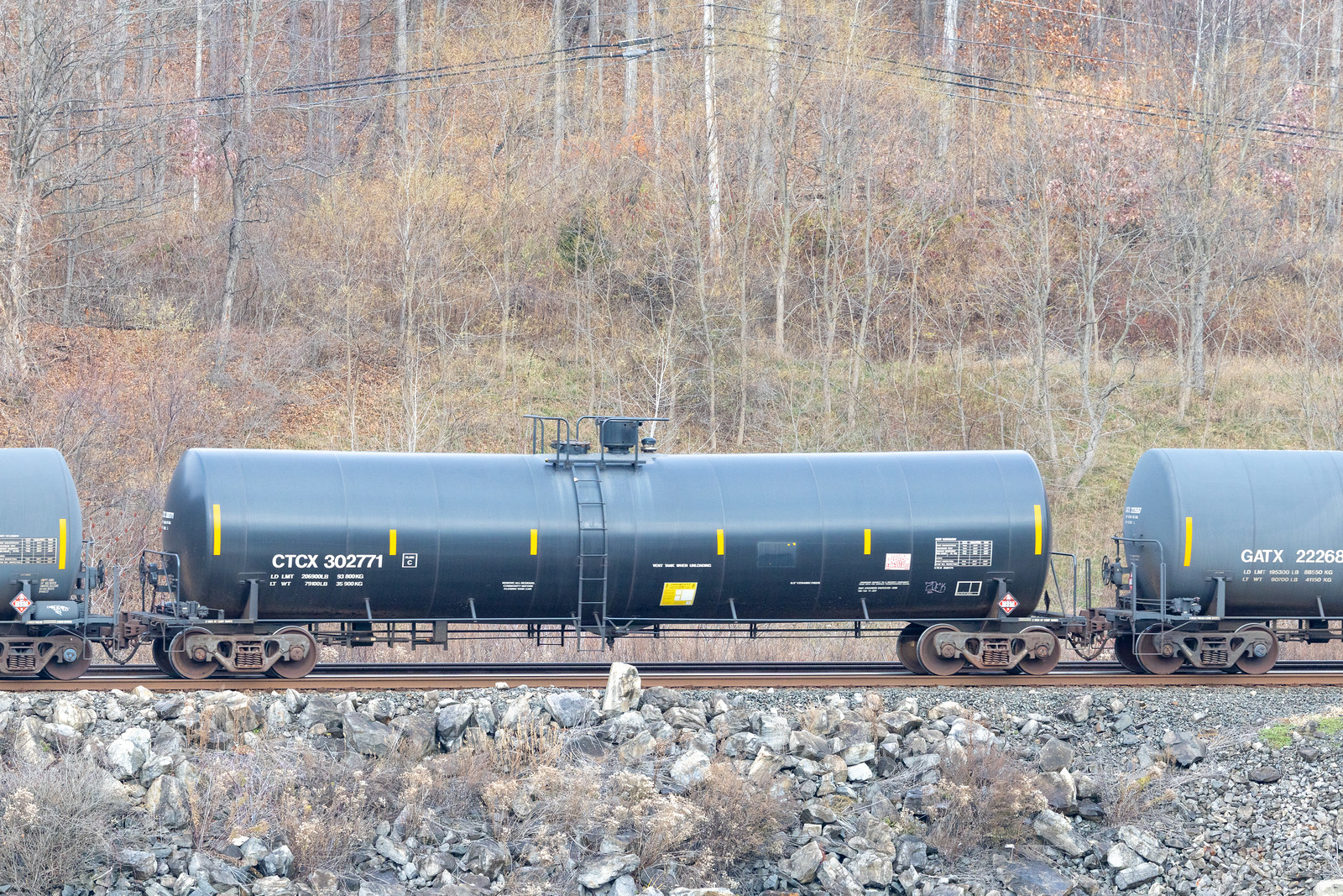 CTCX 302771