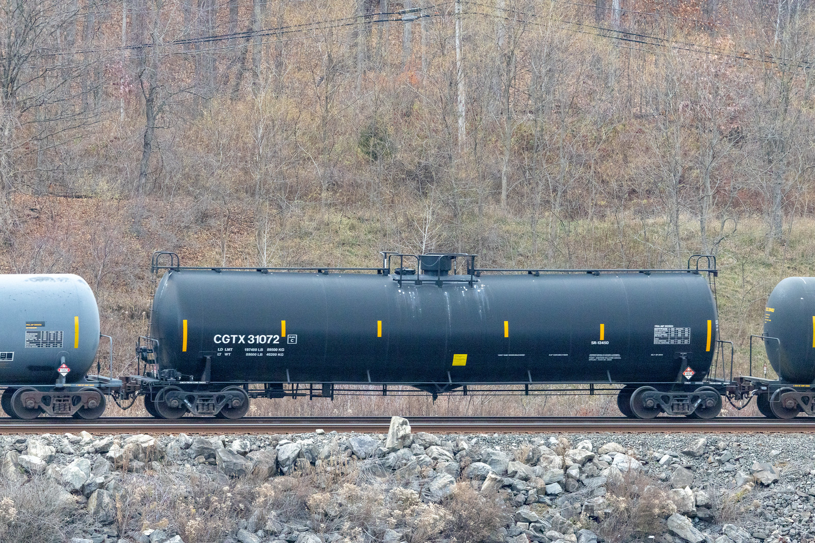 CGTX 31072