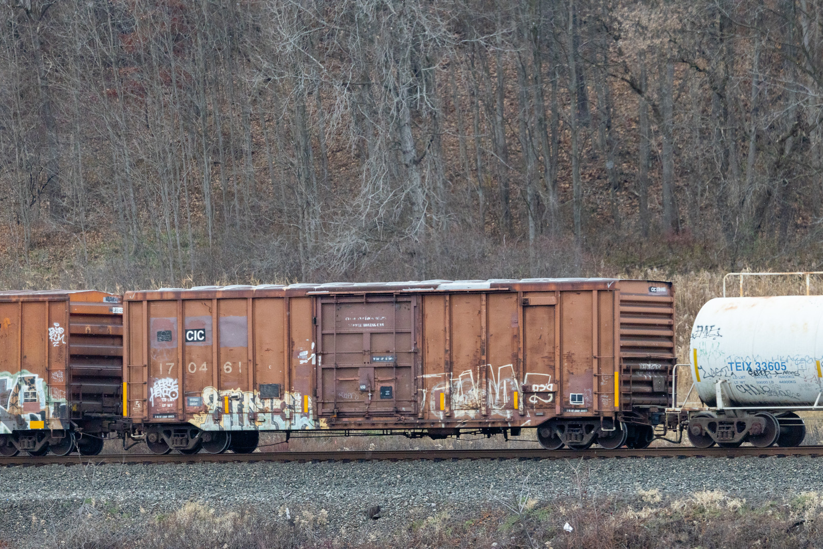 CIC 170461