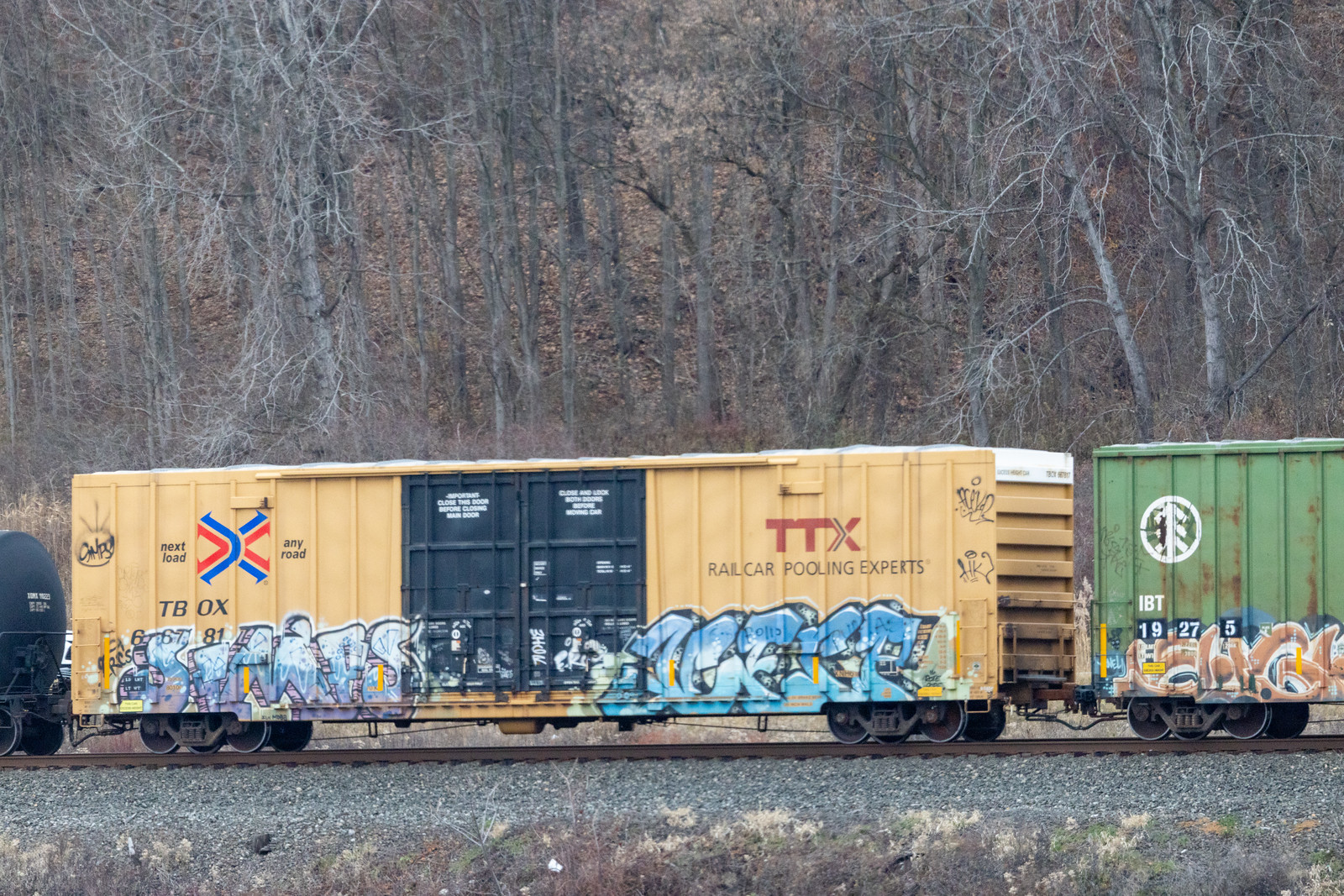 TBOX 667181