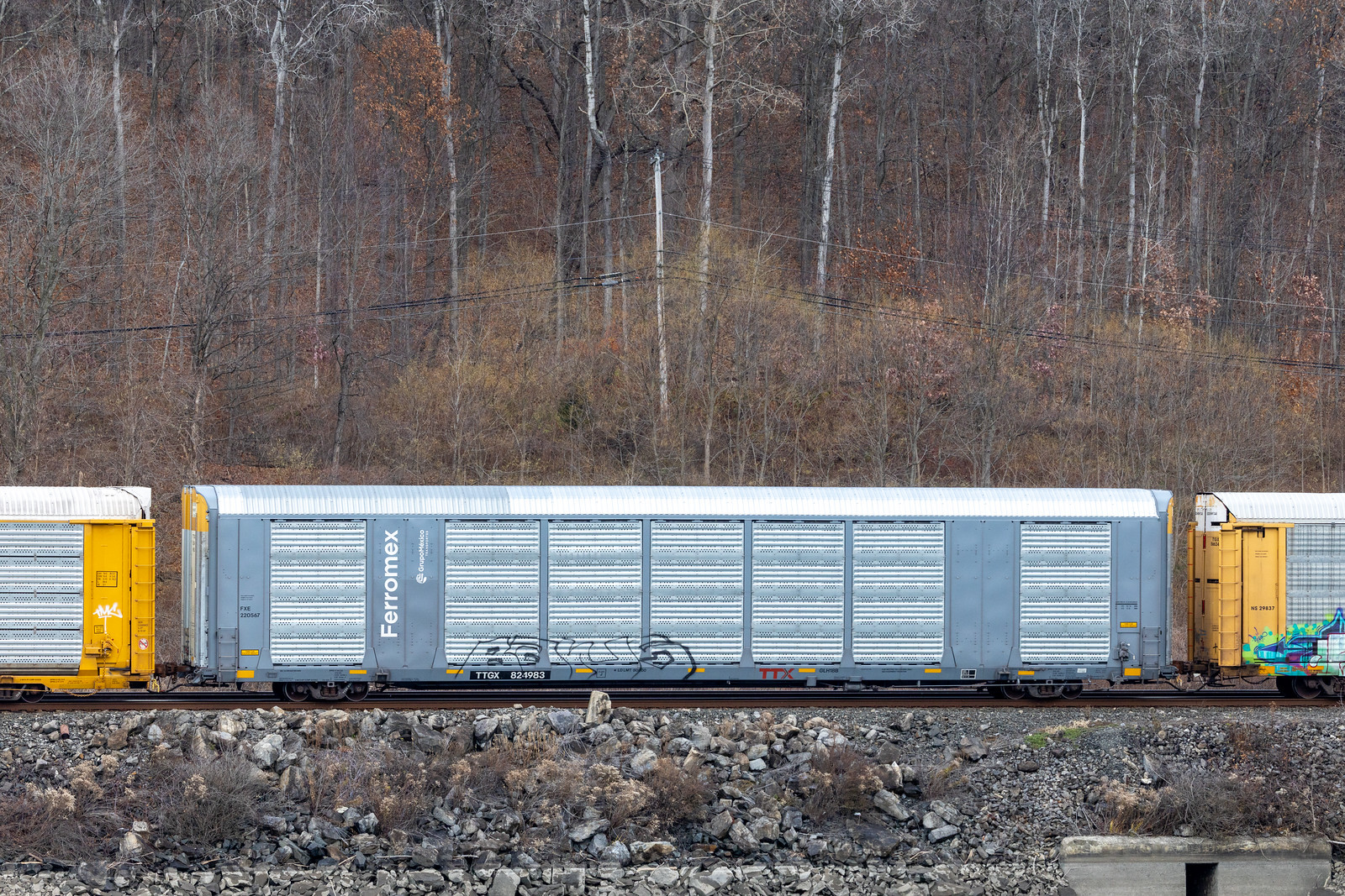 TTGX 824983