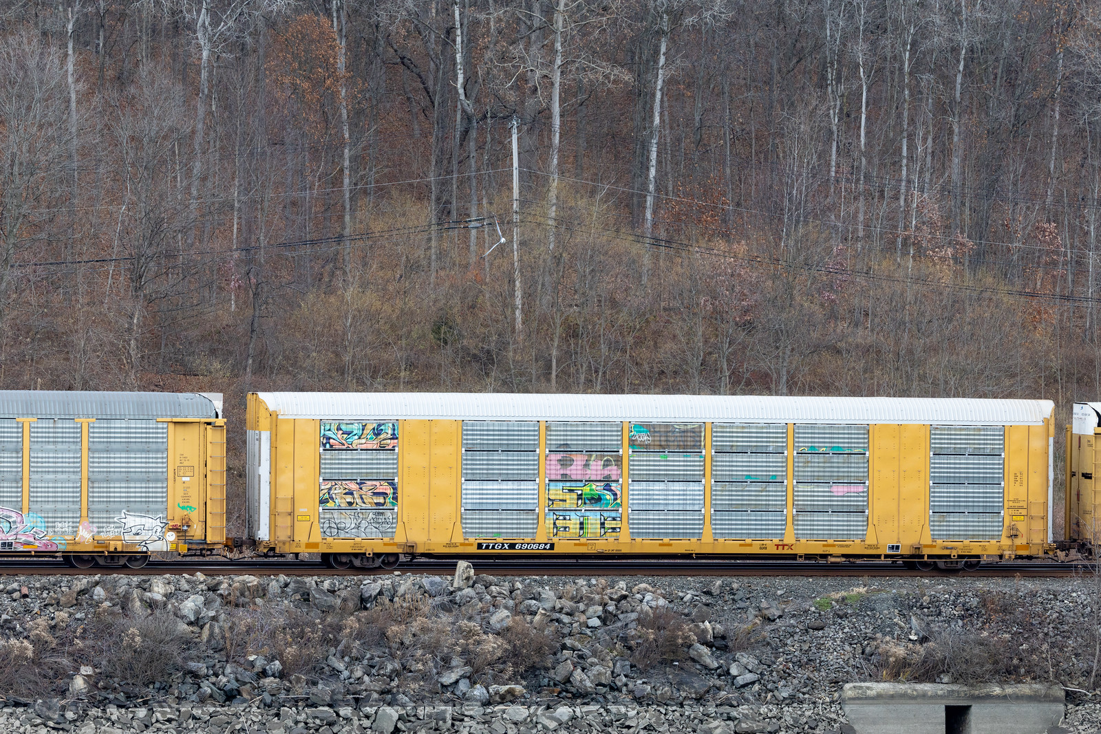 TTGX 690684