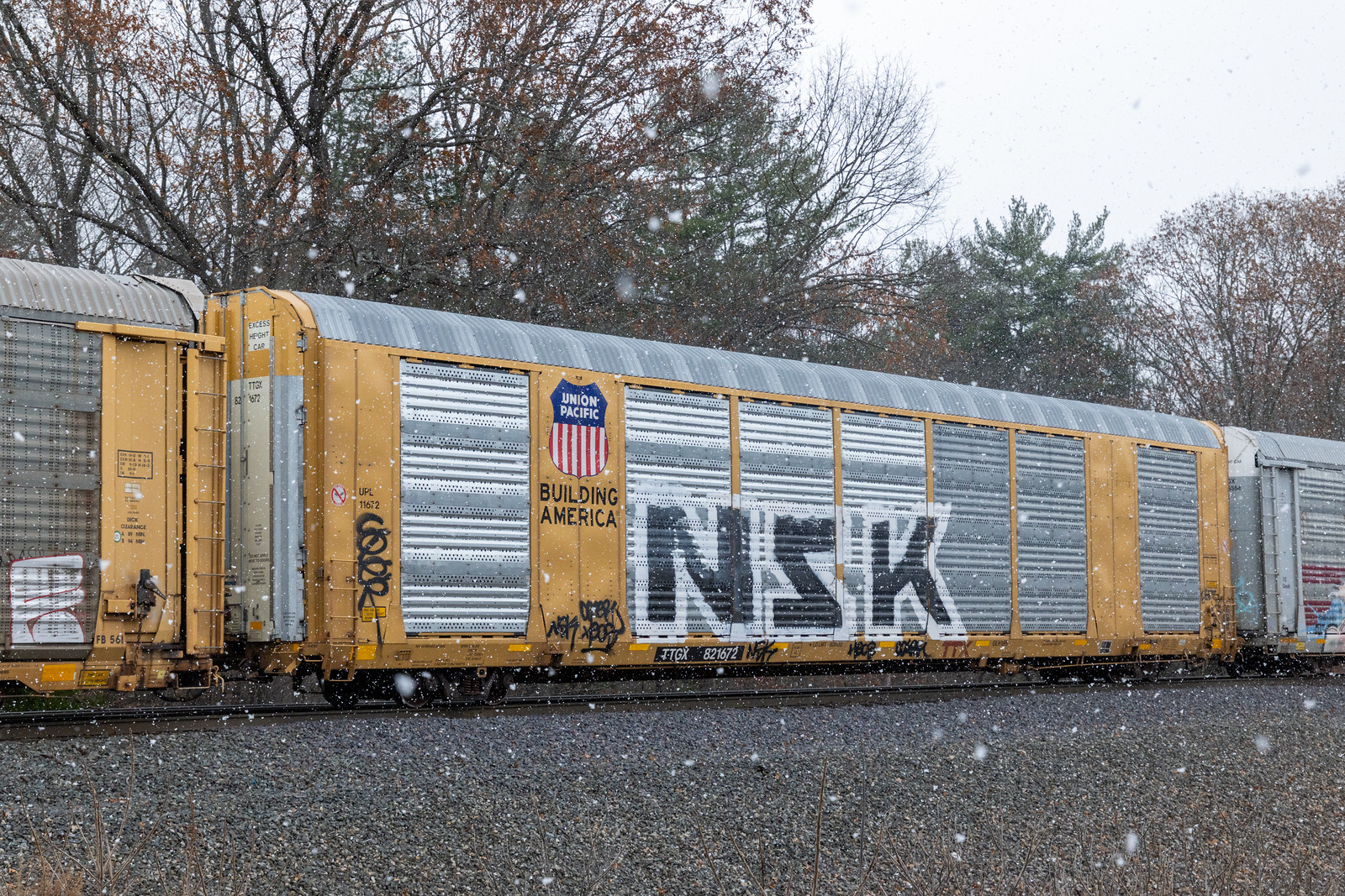 TTGX 821672