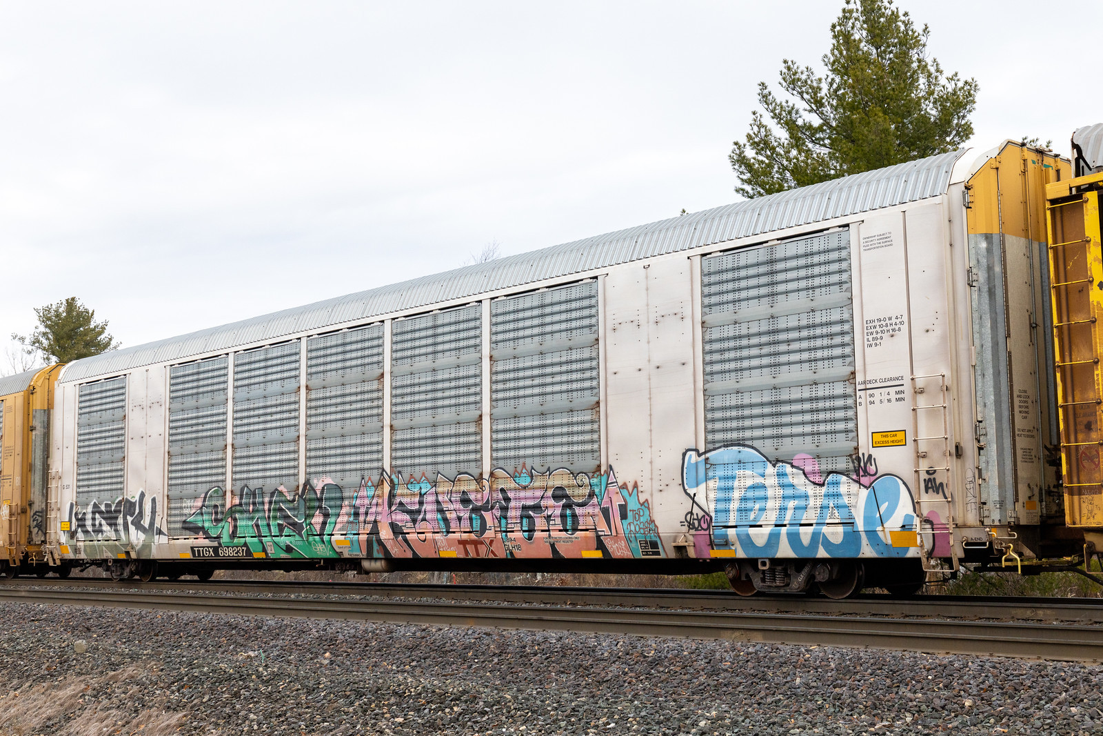 TTGX 698237
