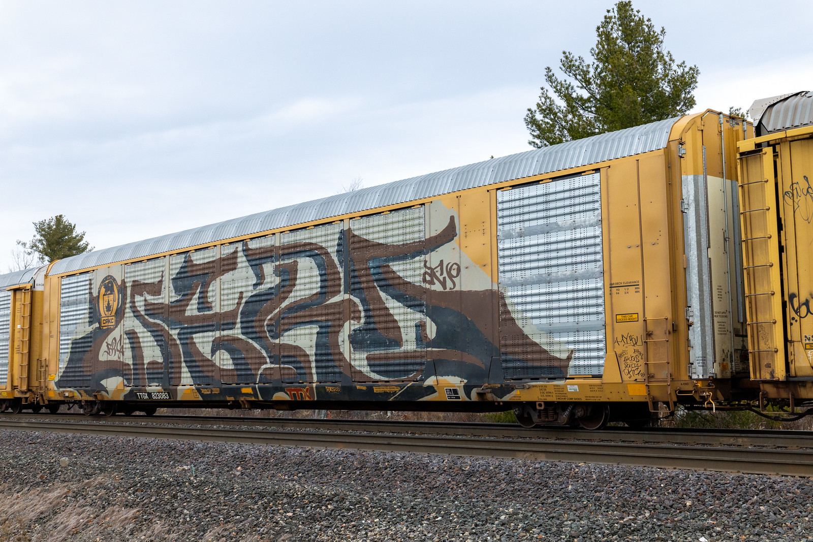TTGX 823083