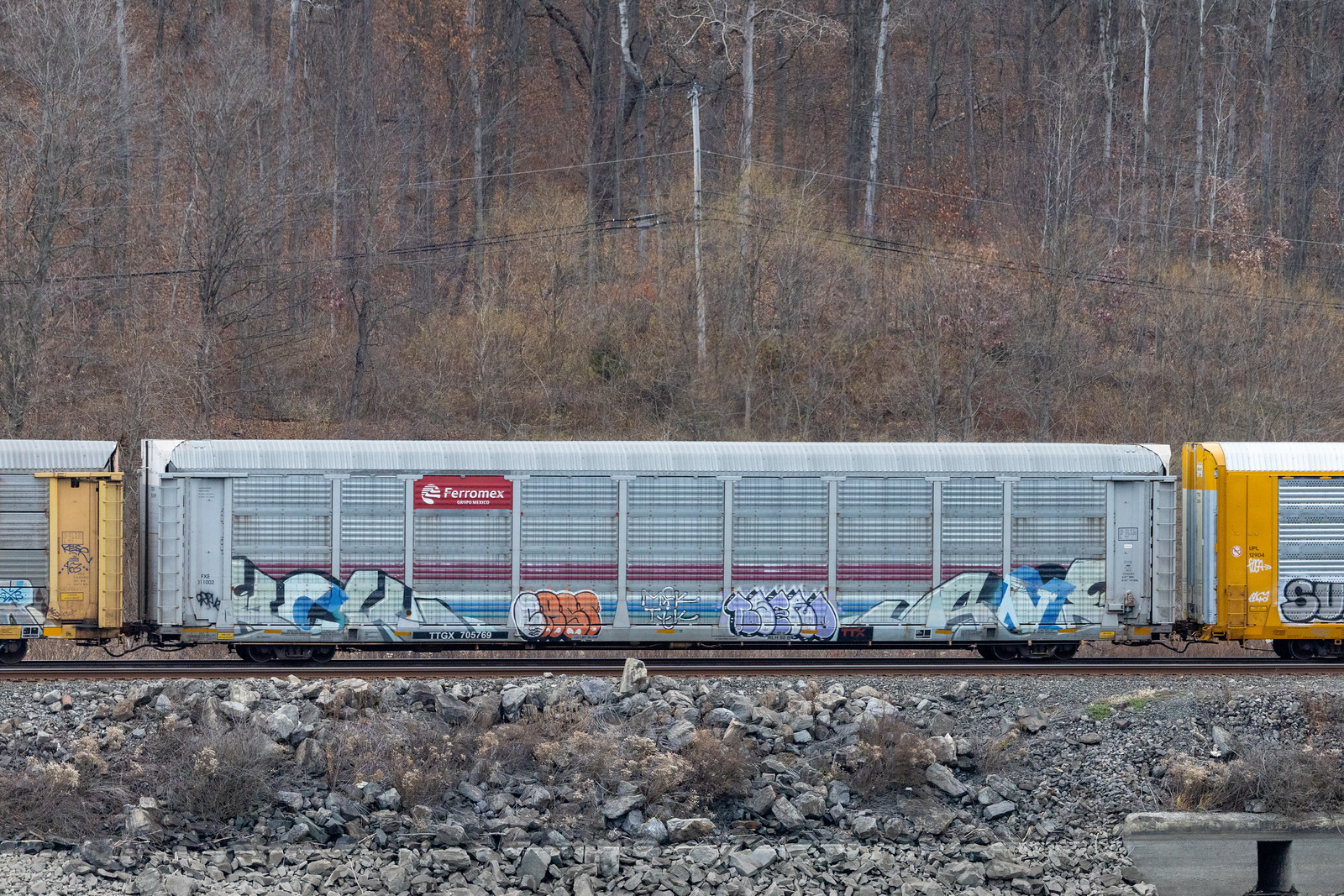 TTGX 705769