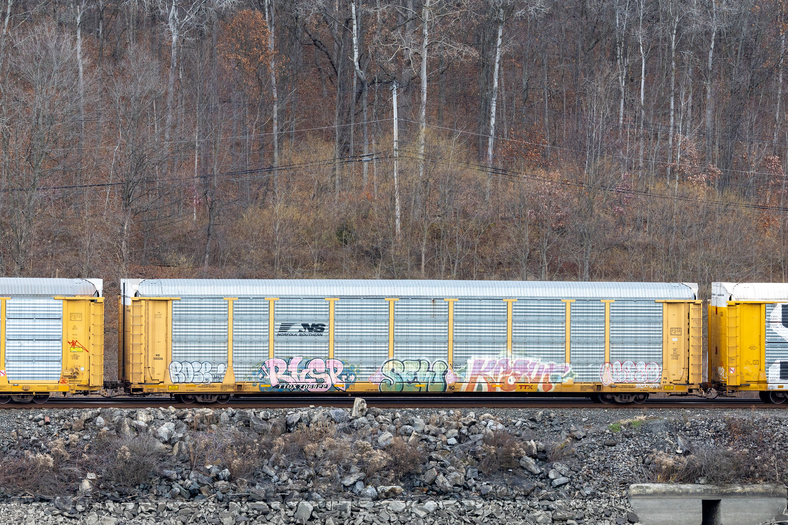 TTGX 706922
