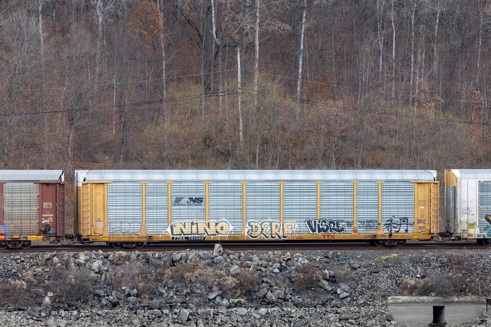 TTGX 707608