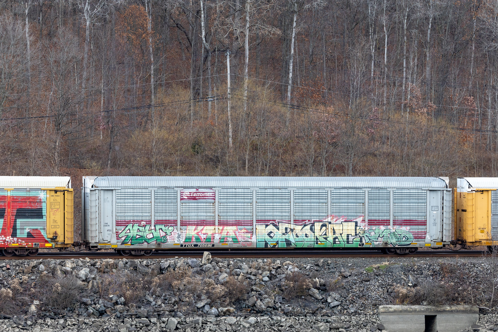 TTGX 705686