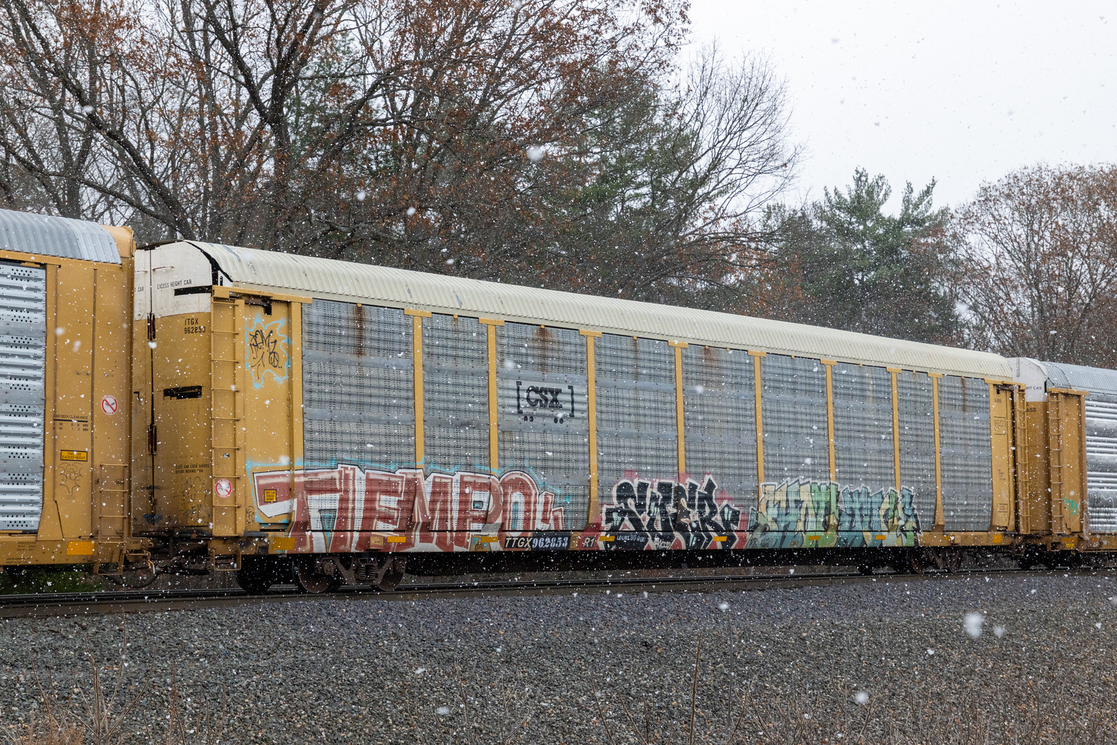 TTGX 962853