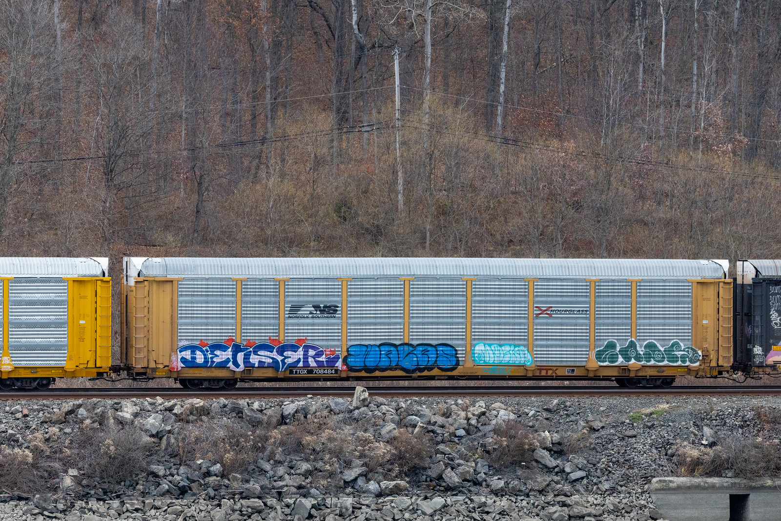 TTGX 708484