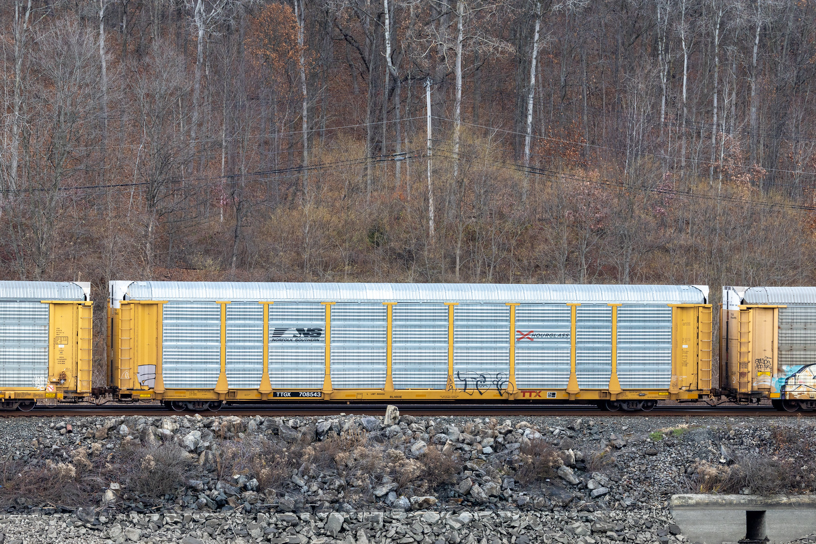 TTGX 708543