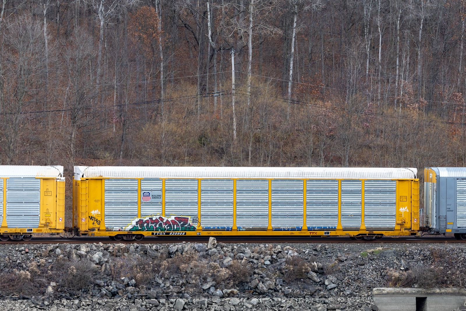 TTGX 820908