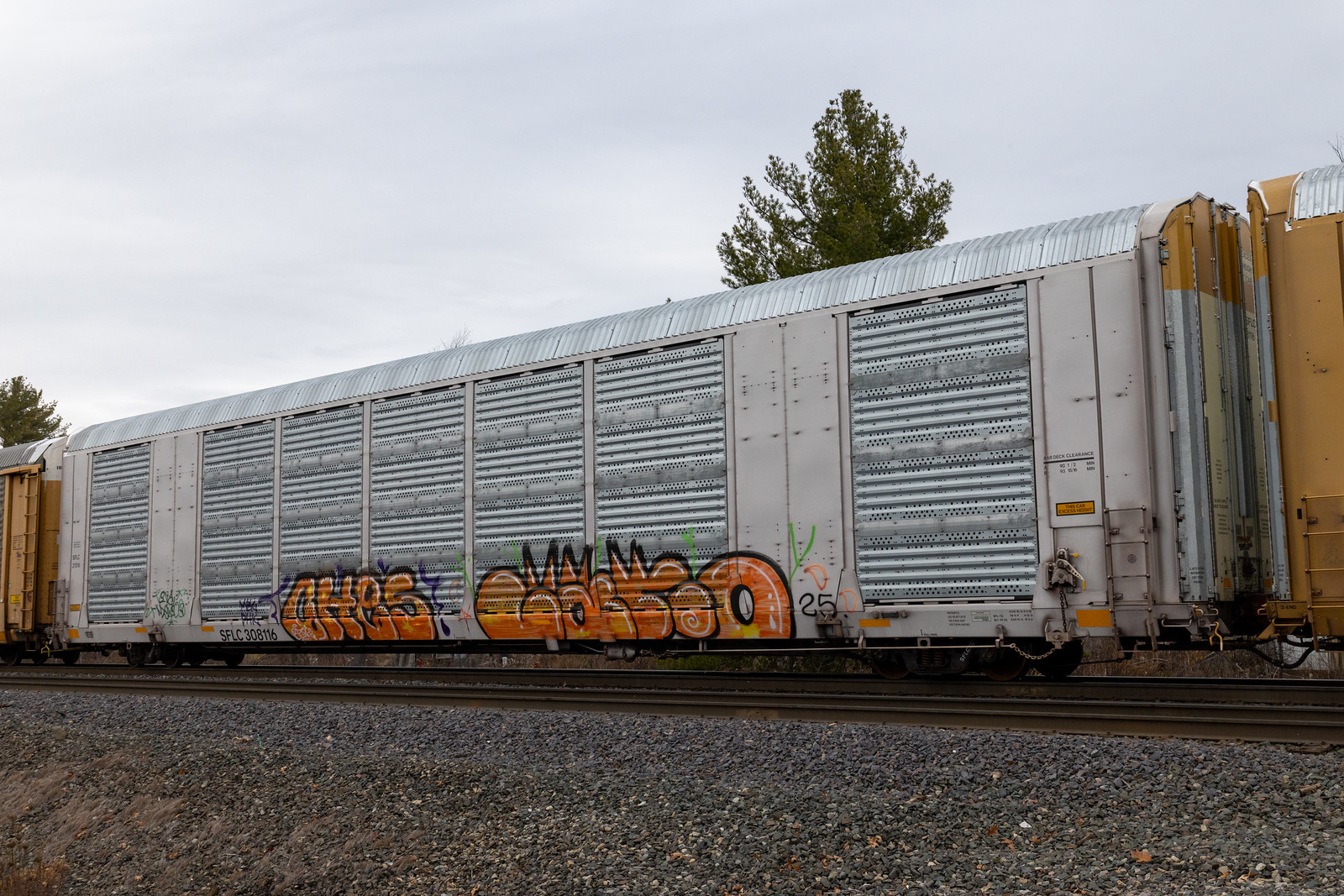SFLC 308116