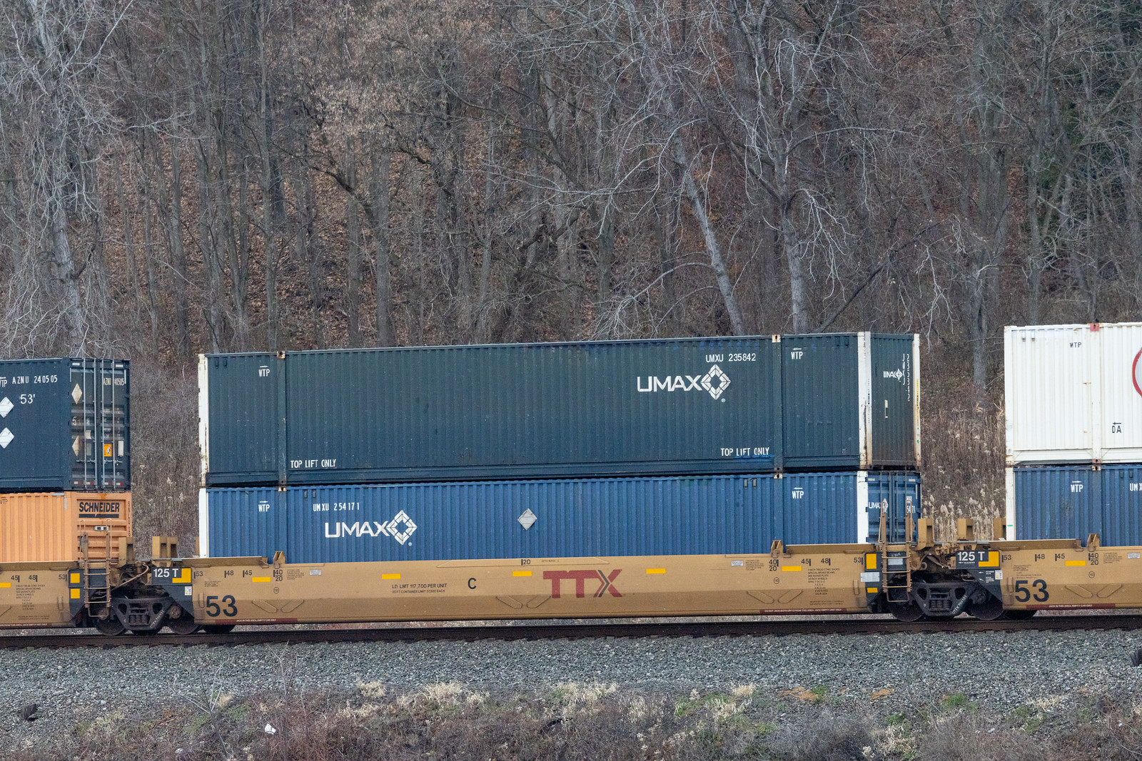 DTTX 769131C
