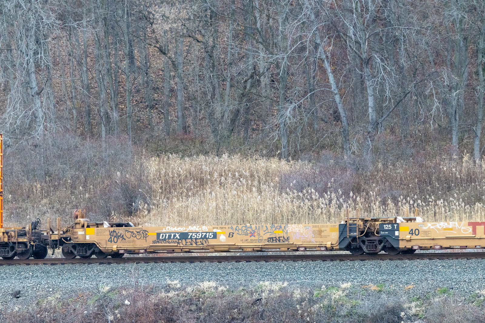 DTTX 759715B