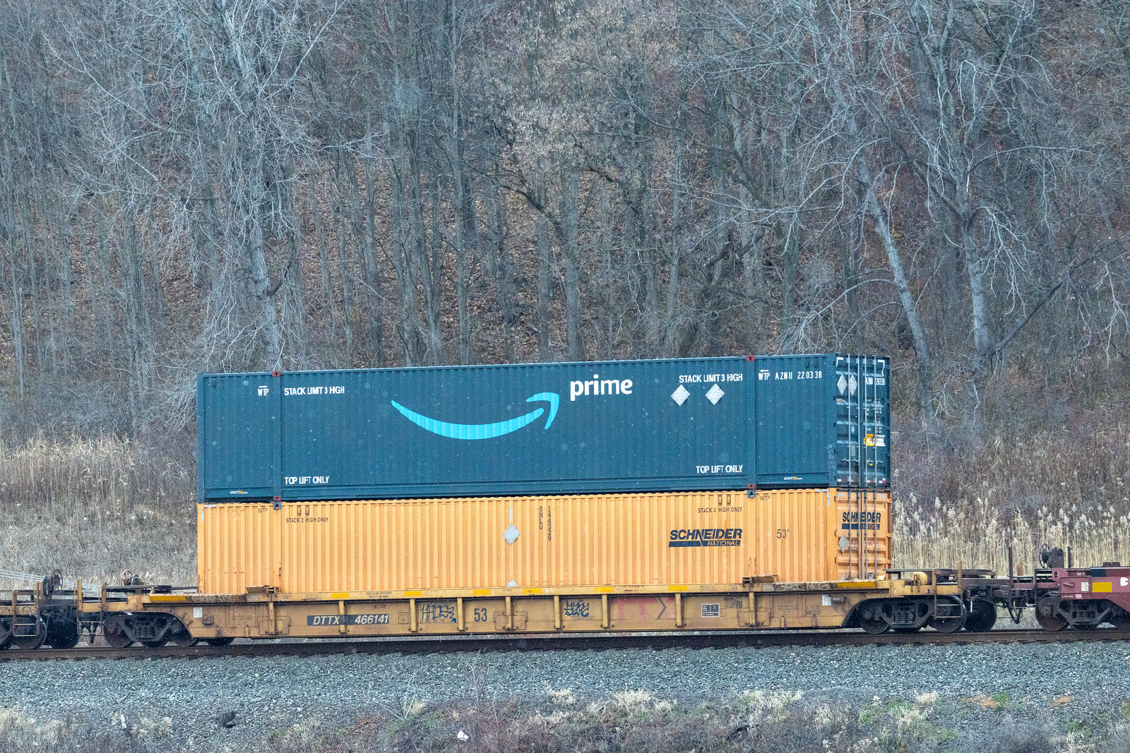 DTTX 466141