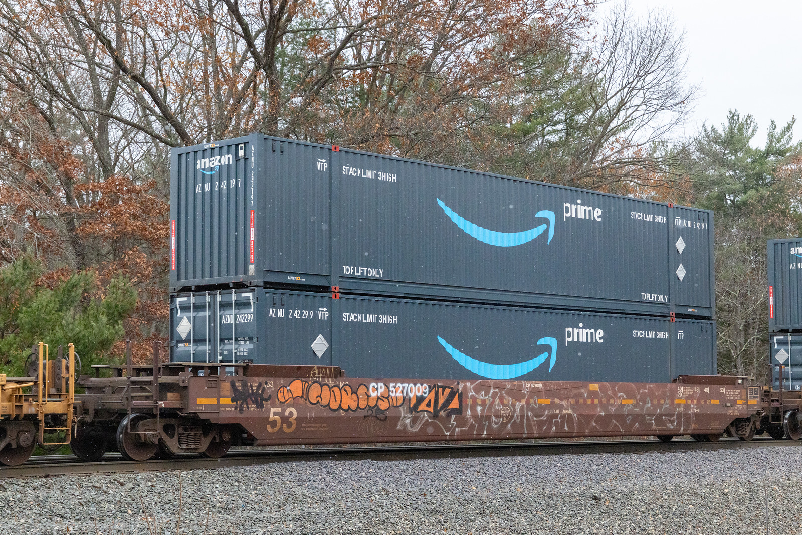 CP 527009
