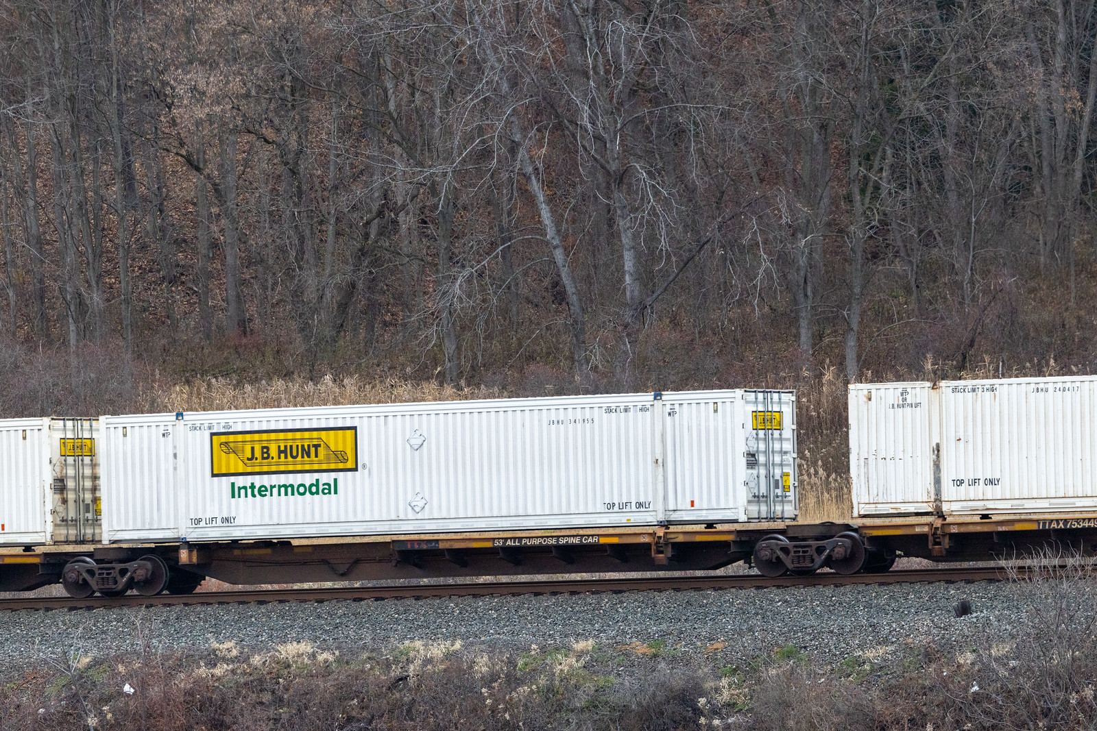 TTAX 753449C