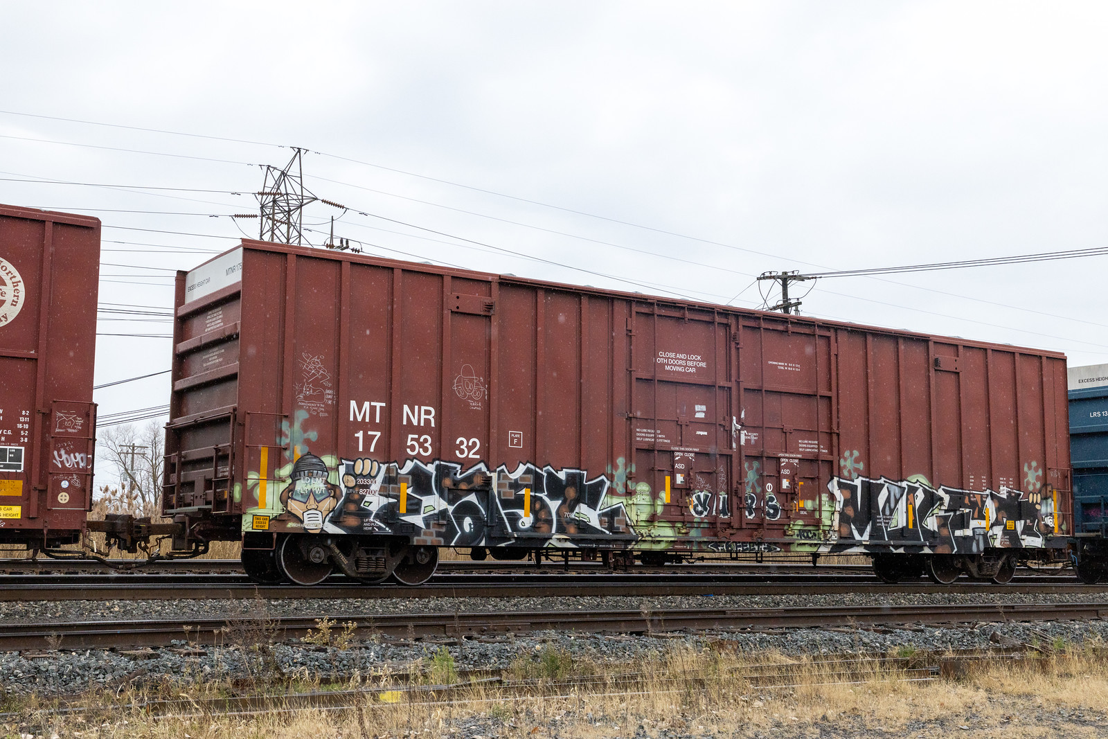 MTNR 175332