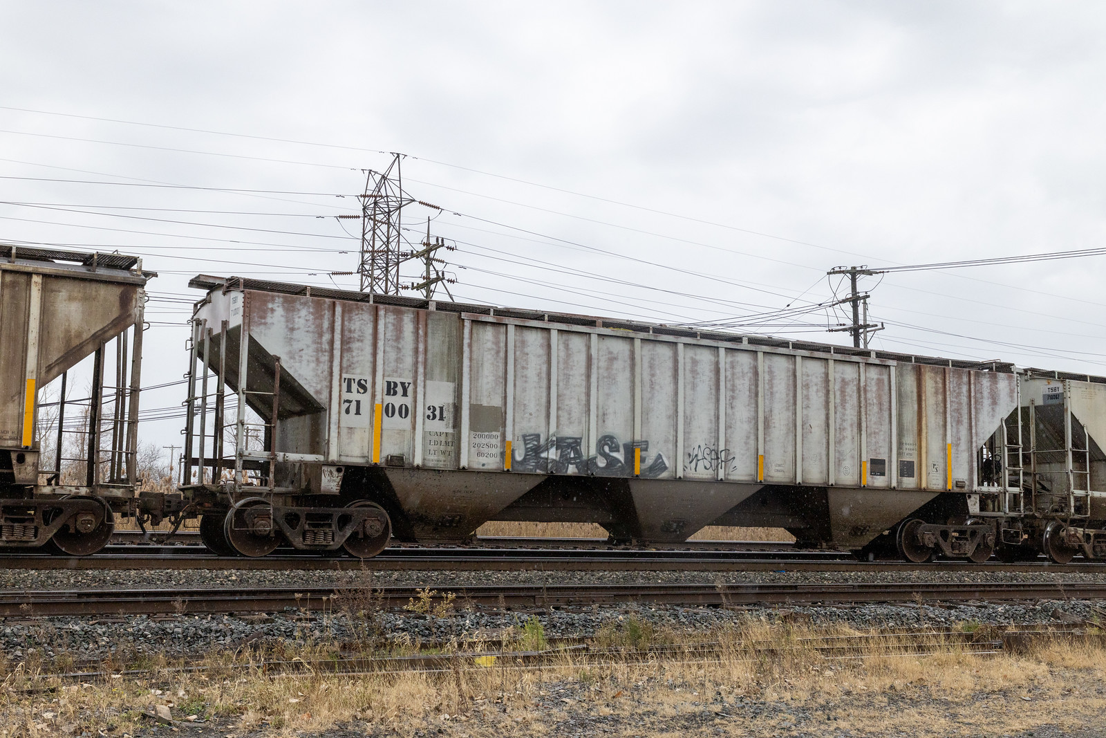 TSBY 710031