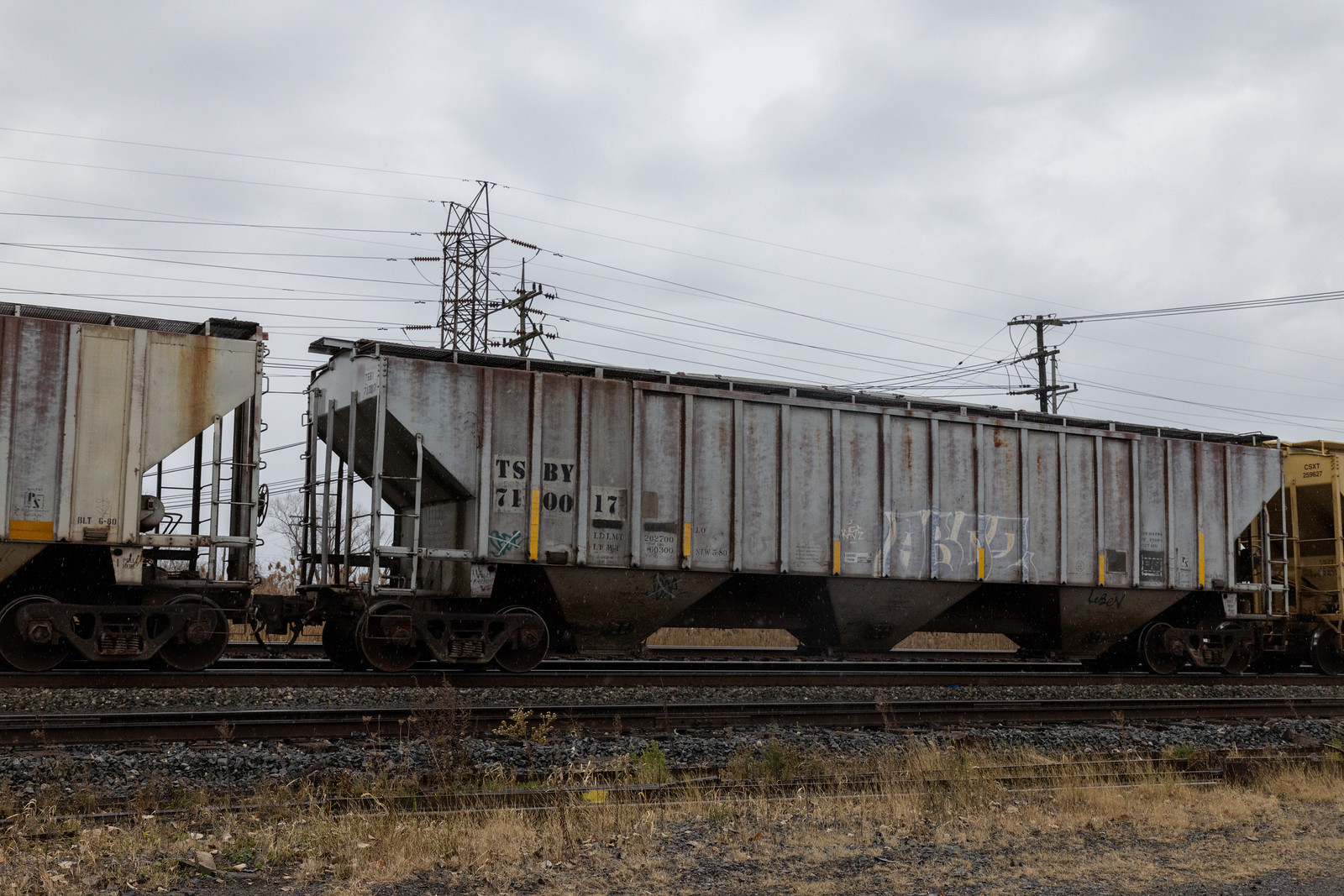 TSBY 710017