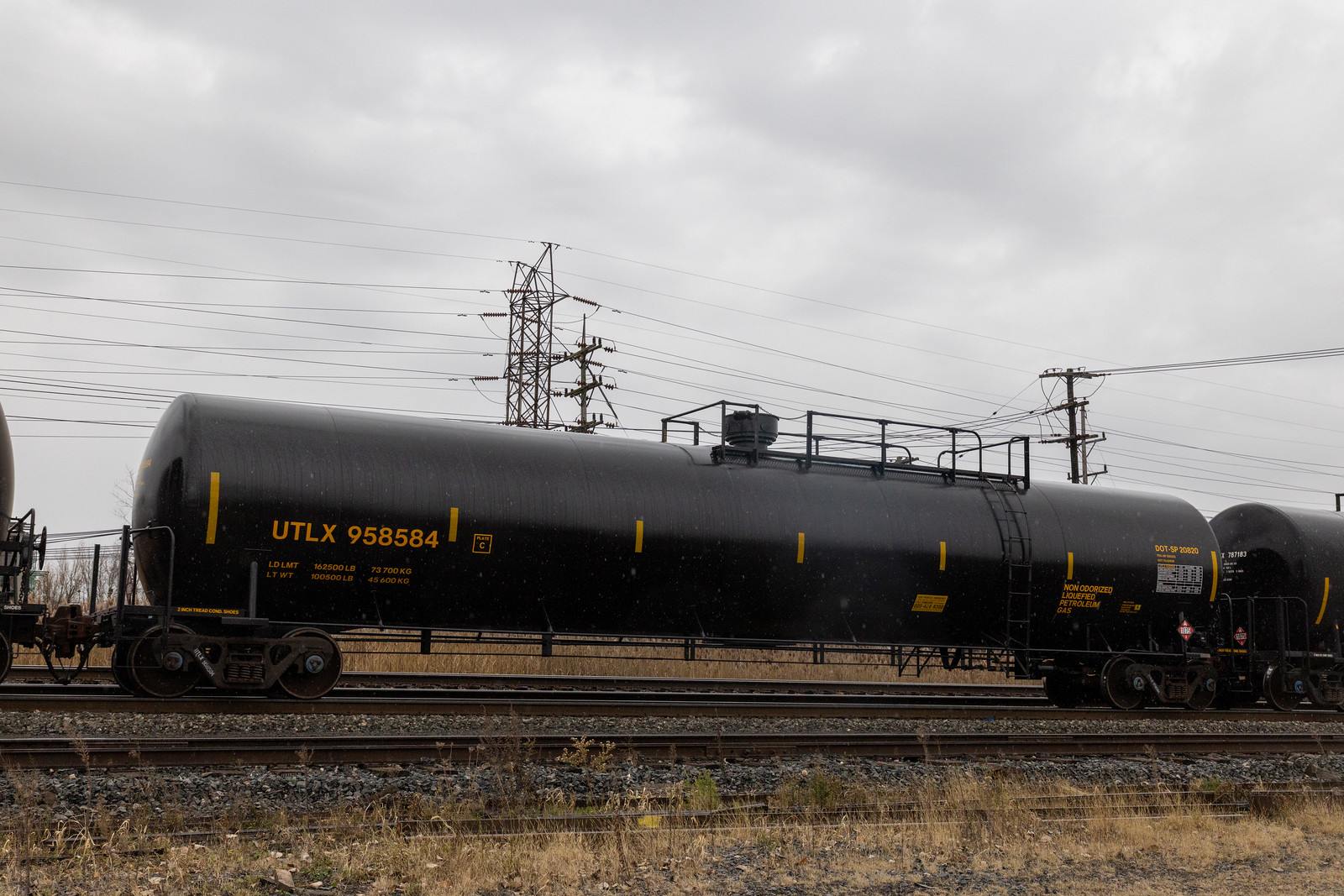 UTLX 958584
