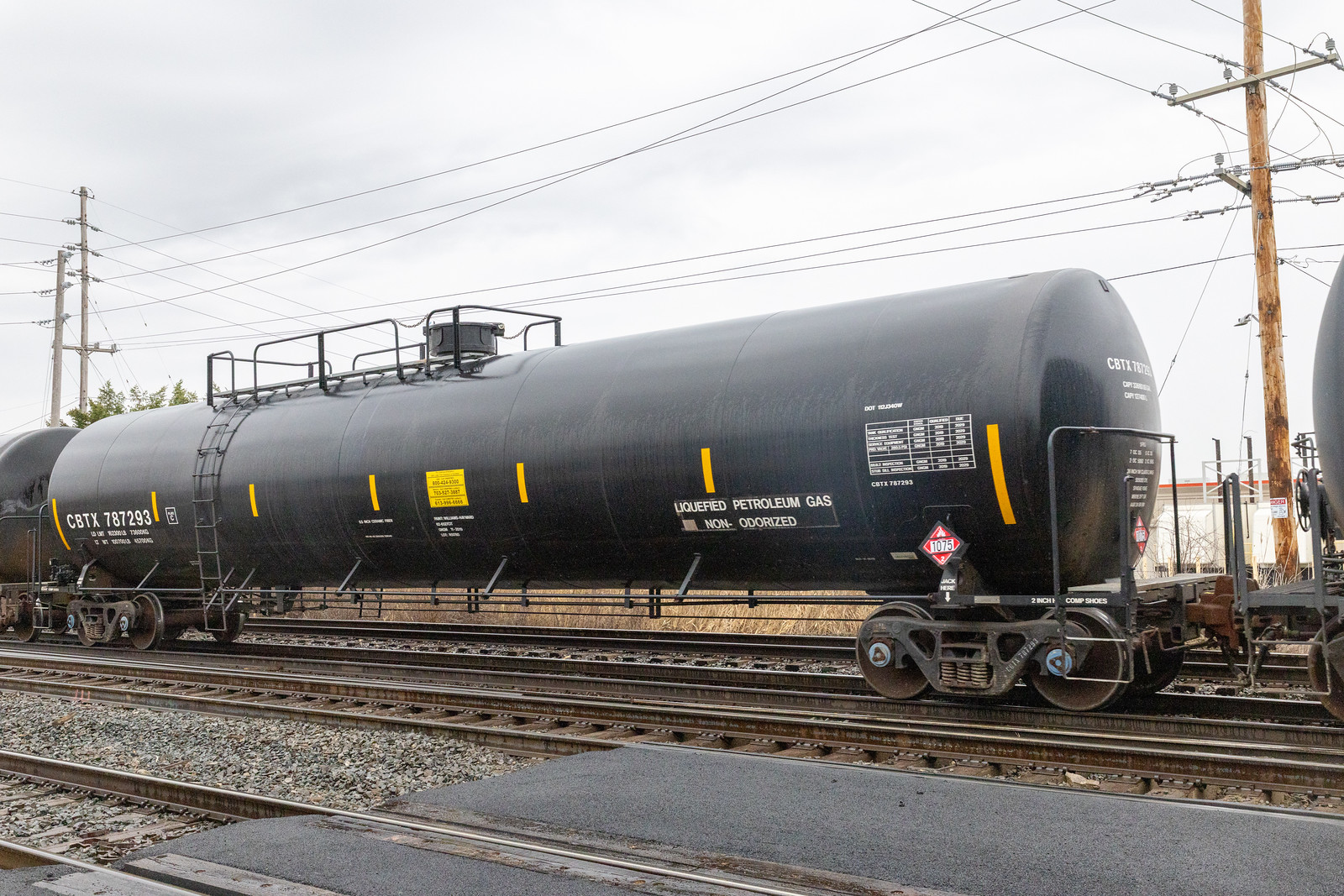 CBTX 787293
