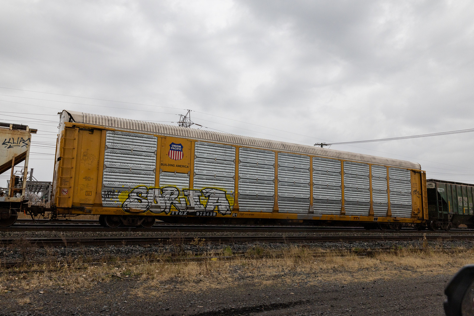 TTGX 973438