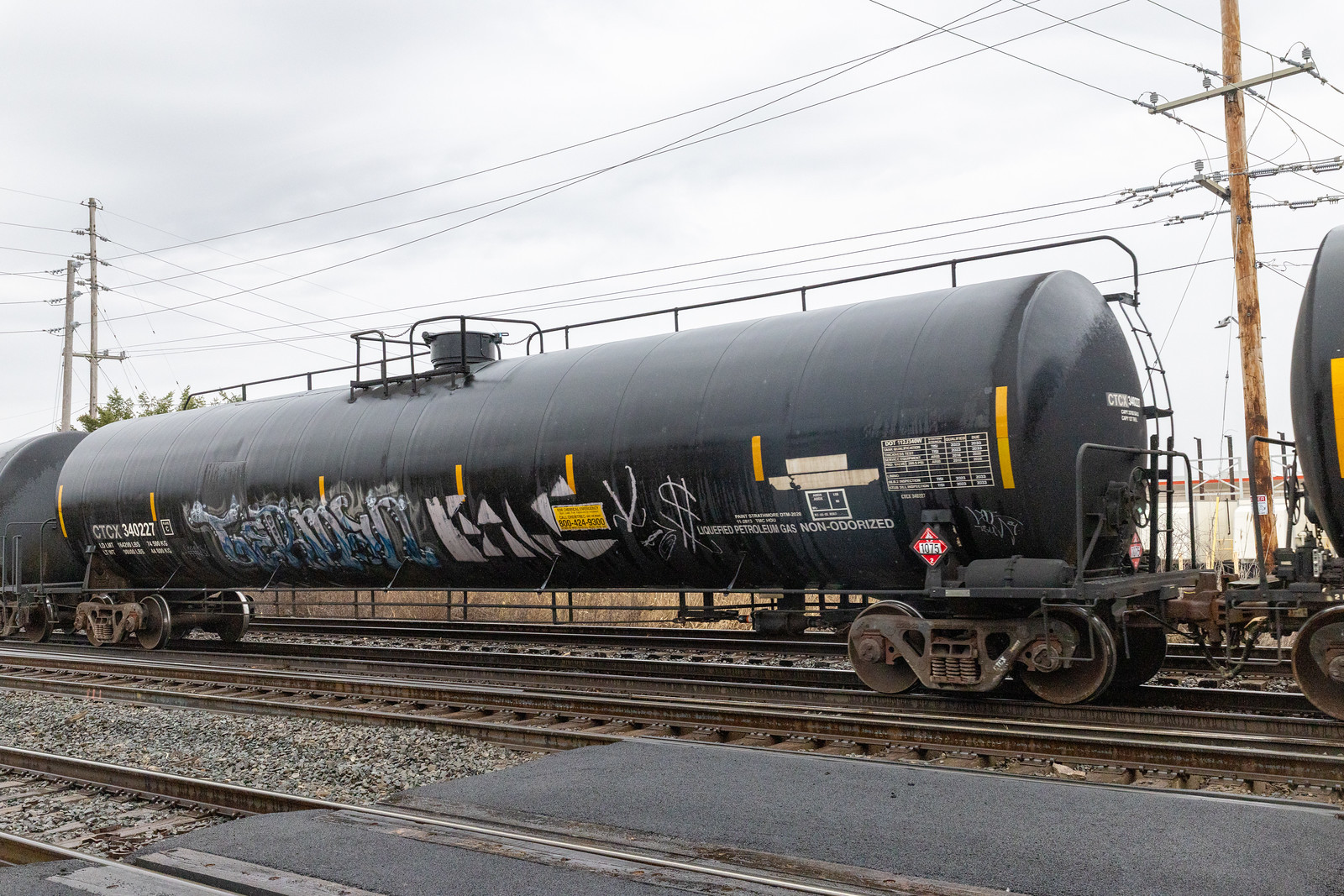 CTCX 340227