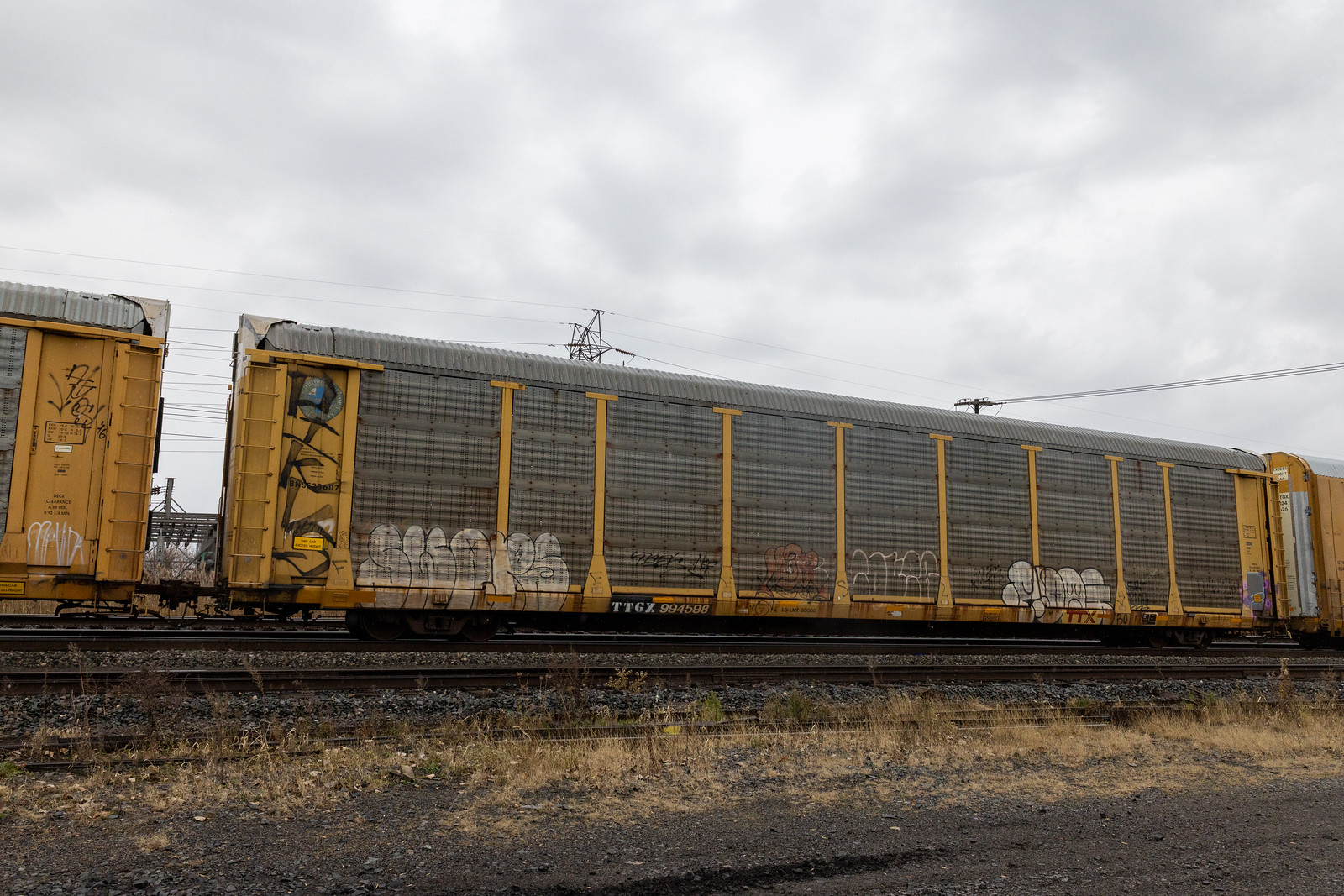 TTGX 994598