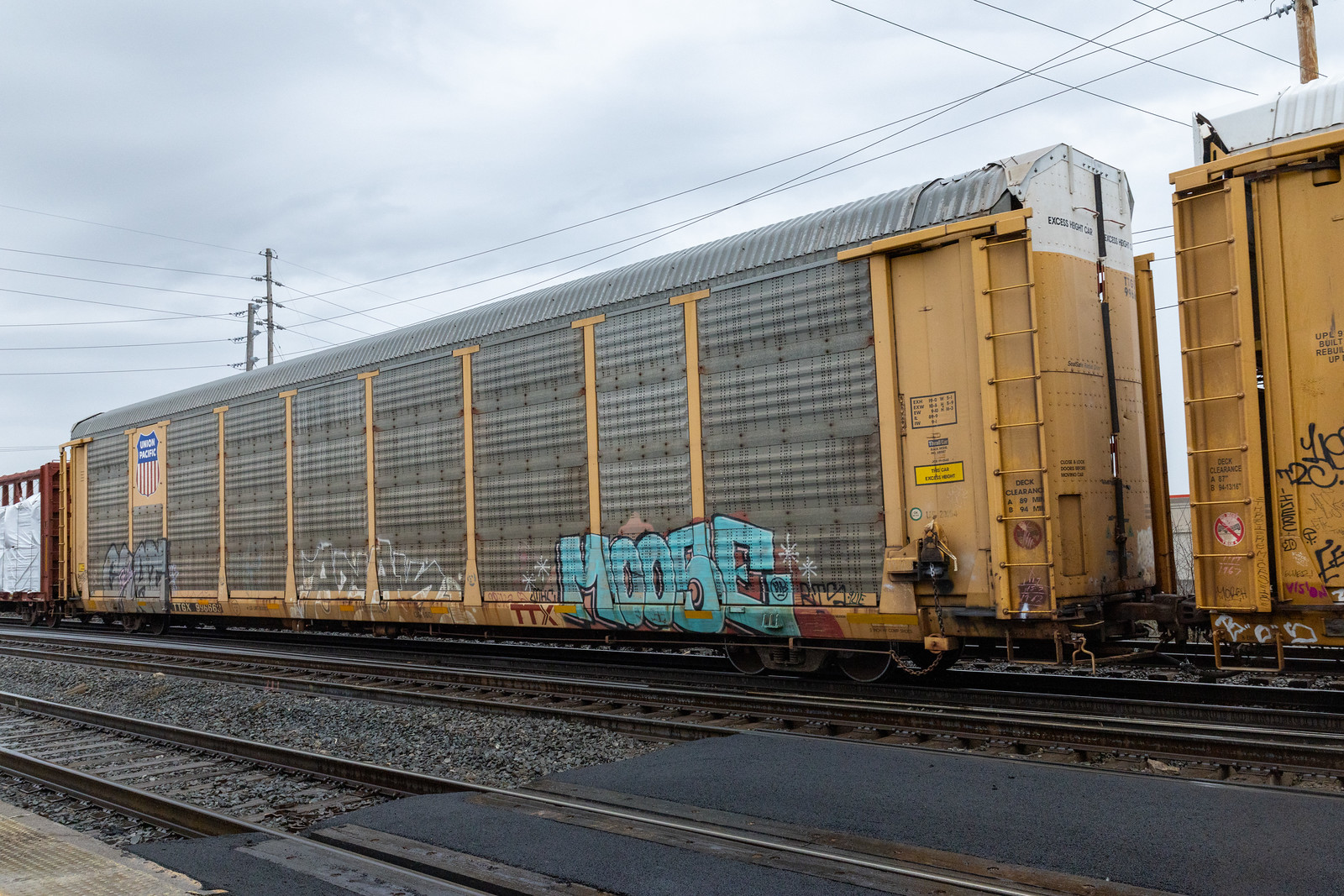 TTGX 996663