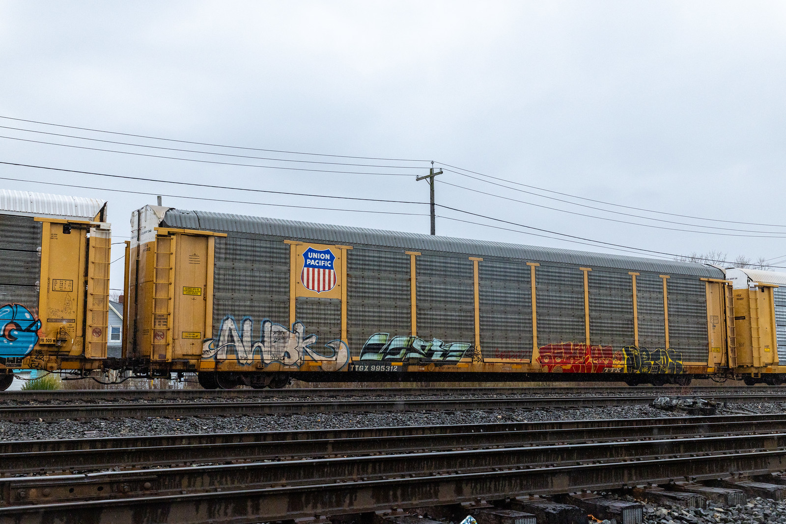 TTGX 995312